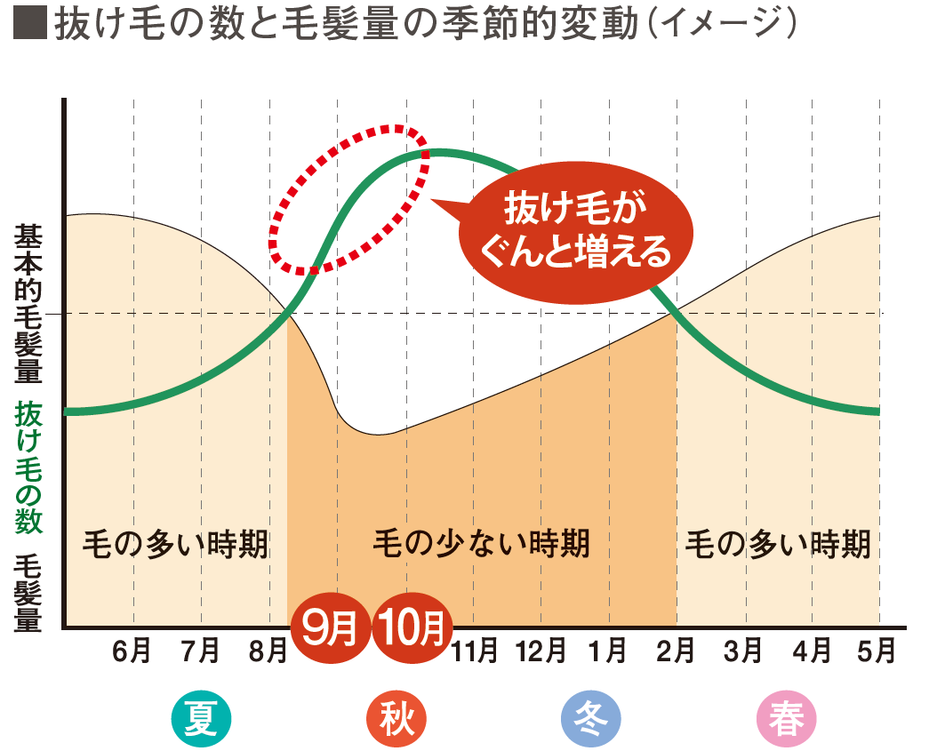 抜け毛の秋 に備える 女性のための育毛講座